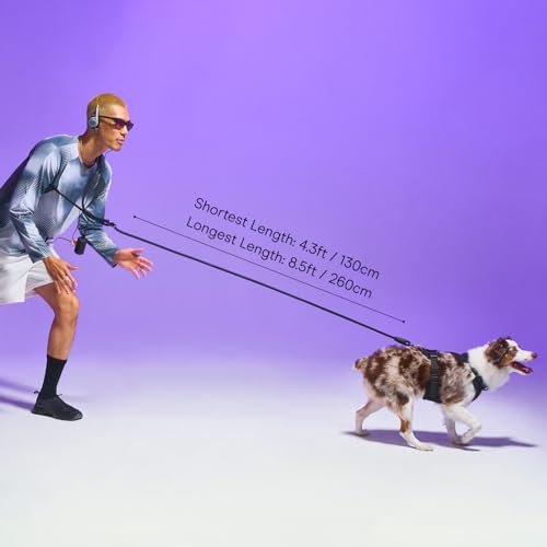 Wild One Hands-Free Adjustable Rope Dog Leash, Standard: 4' to 8.5' Long, .5" Wide, Adjustable for Crossbody, Waist & Handheld, Bubblegum - color: Bubblegum