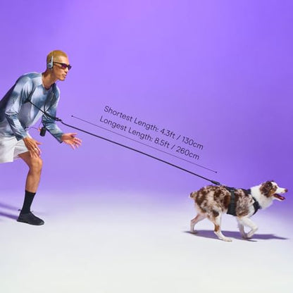 Wild One Hands-Free Adjustable Rope Dog Leash, Standard: 4' to 8.5' Long, .5" Wide, Adjustable for Crossbody, Waist & Handheld, Bubblegum - color: Bubblegum
