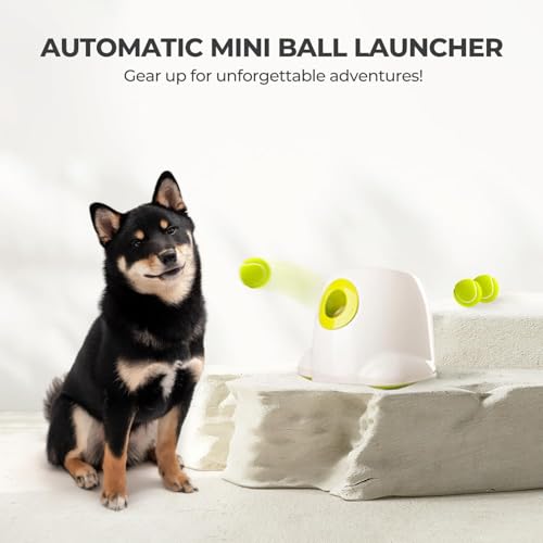 ALL FOR PAWS Automatic Ball Launcher for Dogs Interactive Puppy Pet Ball Indoor Thrower Fetch Machine, 3 Balls Included (2 inch) + Six Tennis Balls Bundle