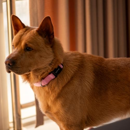 Hyhug Heavy Duty Dog Collar for Medium Dogs, Pink| Quick Release Nylon, Adjustable No-Pull Training & Everyday Walk(Medium, Bonbon Pink) - color: Bonbon Pink, size: Medium