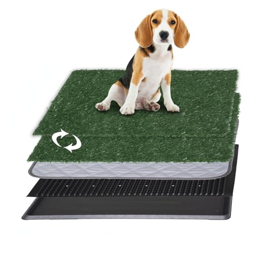 Artificial Grass Dog Grass Pad with Tray, Reusable Pet Urinal Pads for Training, 4 Layers Washable Bathroom Balcony Indoor Dog Potty (L-20×30")