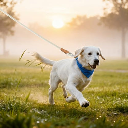 Mile High Life Dog Leash, Rope Leash with Genuine Leather Connection and Heavy Duty Metal Clasp, Great for Small Medium Large Dogs(Cream White,48 Inch) - color: Rope Handle-Cream White, size: 48 Inch-1/2"