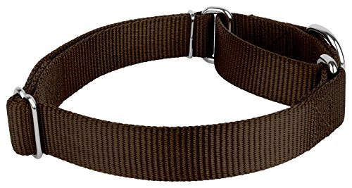 Country Brook Petz - Brown Martingale Heavyduty Nylon Dog Collar and Double Handle Leash (3/4 Inch, Small) - color: Brown, size: Small (Pack of 1)