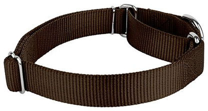 Country Brook Petz - Brown Martingale Heavyduty Nylon Dog Collar and Double Handle Leash (1 Inch, Large) - color: Brown, size: Large (Pack of 1)