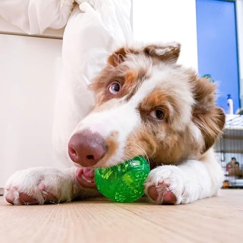 Hyper Pet DuraSqueak Dog Ball Toy, Interactive, Floats, Squeaks, Dog Balls for Fetching, Alternative to Traditional Tennis Balls - for All Breeds - size: 2.5 inch (2 Pack)