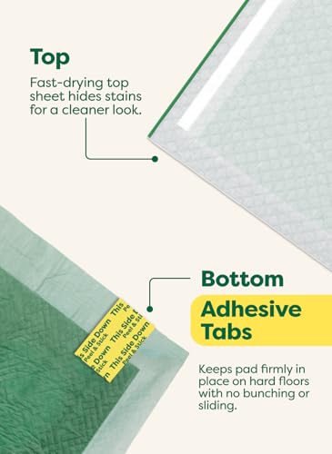 Earth Rated Puppy Pads, Max Absorbency Pee Pads for Dogs, Absorbs 2X Faster & 2X More, Leak Prevention, Potty Training, Fragrance-Free, Unscented, 3XL, 36” x 36”, 24 Count - size: 3XL 36"x36" 24-ct