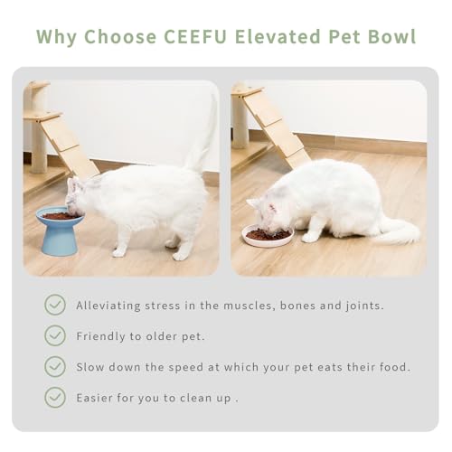 CEEFU 2 Elevated Ceramic Cat Bowls Extra Wide for Food & Water – Whisker Fatigue Shallow Food Dish, Lead & Cadmium-Free, Raised Height for Cats, Blue - color: Baby Blue