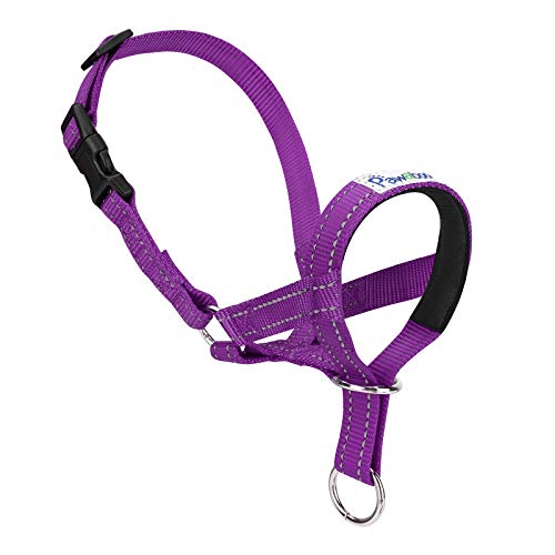 Pawaboo Dog Muzzle, Head Halter Collar for Dogs, Pet Dogs Nylon Reflective Adjustable Loop Anti-Biting Barking Control Easy Fit Dog Stops Pulling Head Leash, Medium Size, Purple - color: Purple, size: Medium