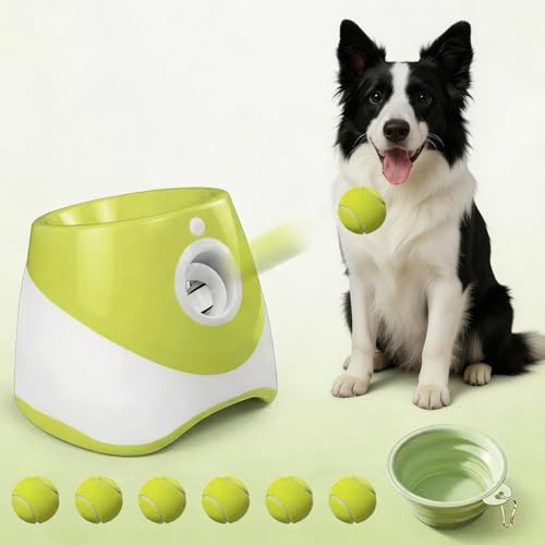 Automatic Ball Launcher
