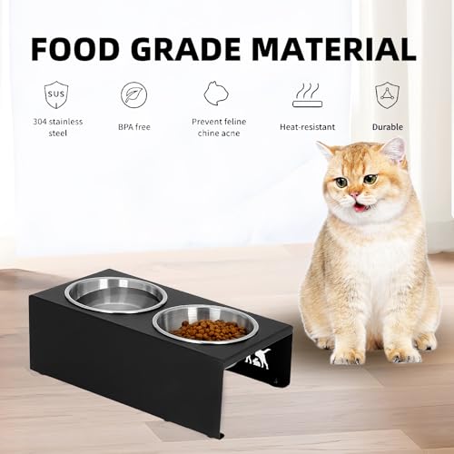 Elevated Cat Food Bowl,15°Tilted Stand Anti Vomiting Raised Cat Dishes for Food and Water,2 Stainless Steel Bowls,Non-Slip No Spill,Cats and Puppy - size: Stainless Steel-2 Bowls