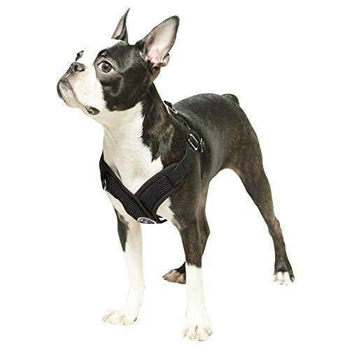 Gooby - Comfort X Step-in Harness, Choke Free Small Dog Harness with Micro Suede Trimming and Patented X Frame, Black, Small - color: Black, size: Small