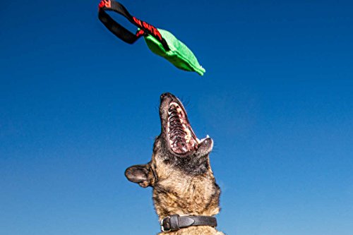 Redline K9 Bundle of 2 French Linen Dog Tug Toy 3 inch X 10 inch - 1 Handles (Green) - color: Green