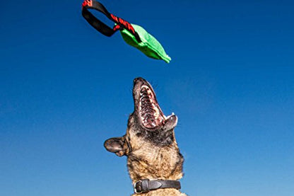 Redline K9 Bundle of 2 French Linen Dog Tug Toy 3 inch X 10 inch - 1 Handles (Green) - color: Green