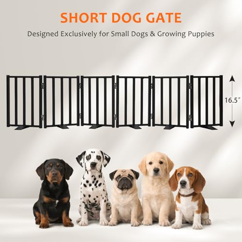 Snagle Paw Short Dog Gate,16.5" Tall Freestanding Metal Dog Gate Only for Small Dogs with Support Feet Easily Step Over,Up to 72" Wide Puppy Gate Indoor for Stairs,Doorways(Black,6 Panel) - size: Black-6 Panels 16.5"H*72"W