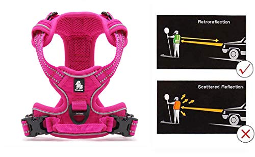 JUXZH Truelove No Pull Dog Harness with Easy Control Handle and 2 Leash Attachments,Reflective Adjustable Pet Vest - color: Fuchsia, size: Medium (Pack of 1)