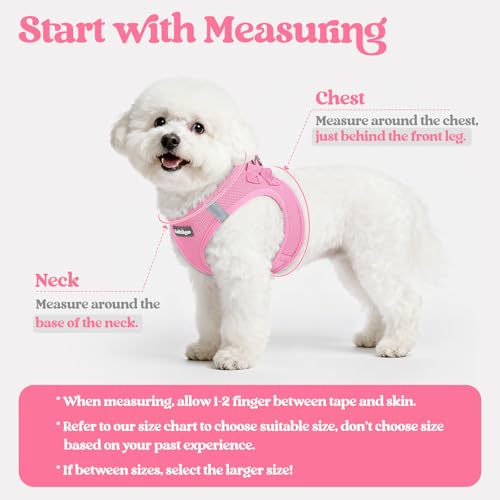 rabbitgoo Dog Harness Small Sized and Leash Set, Step in Soft Light Puppy Vest, Breathable Mesh Pet Harness, Reflective for Safe Easy Walking, Light Pink XXXS - color: Light Pink, size: Xxxs (chest: 10.8 - 11.8")