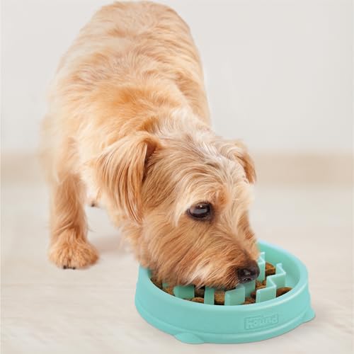 Outward Hound Fun Feeder Slo Bowl – Small 3/4-Cup Capacity, Slow Feeding, Small Dogs, Puppies & Cats, Non-Slip, Mint, Wave Pattern - color: Mint, size: Small