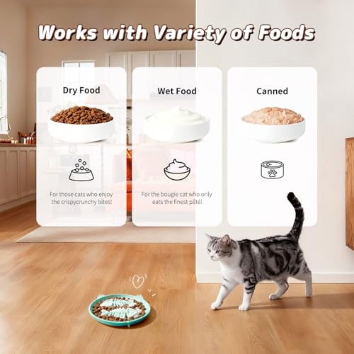 Slow Feeder Cat Bowl, 2 PCS Silicone Bowl, Cat Slow Feeder, Ideal for Dry and Wet Food, Easy to Clean, Interactive Puzzle Toy for Pets Food Training, Keeps Cats Busy, 6.69" W*0.65" H - color: 2Pack-Cyan&Purple