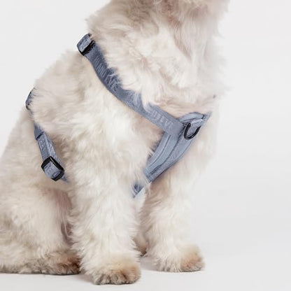 Fei & Eve Moxie Dog Harness for Small & Medium Dogs, Dusk Blue, XS | Lightweight Design, 3-Point No-Pull Control, Quick Release Metal Buckle - color: Dusk Blue, size: XS
