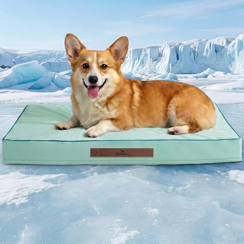 Cooling Dog Bed for Crate, 30 x 20 Inch Orthpedic Cooling Mat for Dogs with Removable Washable Cover, Breathable Egg Crate Foam Anti-Slip Pet Beds, Light Aqua - color: Light Aqua, size: 30''x20''x3''