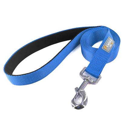 Basic Dog Leashes 6 FT Padded Handle Nylon Dogs Leashes for Small Dogs Blue - color: Blue, size: Small : 5/8" x 6 FT