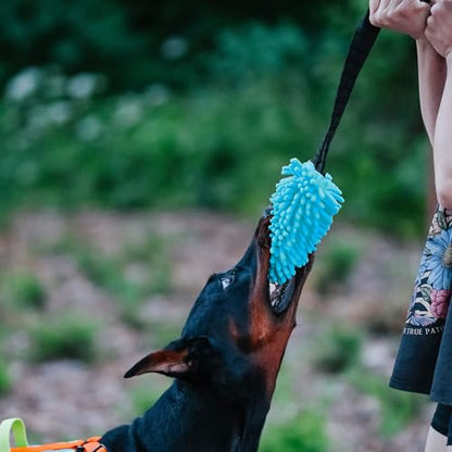 Dingo Dog Tug Toy with Bungee Handle, Microfiber, Blue - color: Blue