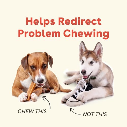 Pupford Yak Cheese Chews for Dogs & Teething Puppies, Natural, Long-Lasting Himalayan Dental Treats (3 Pack Small) - size: 1 Ounce (Pack of 3), style: For Small Dogs