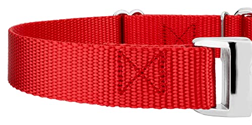 Country Brook Petz - Martingale Dog Collar - Heavy Duty Nylon Adjustable Martingale Dog Collar with Premium Buckle for Small Medium Large Breeds (5/8 Inch, Extra Small, Bright Red) - color: Bright Red, size: Extra Small (Pack of 1)