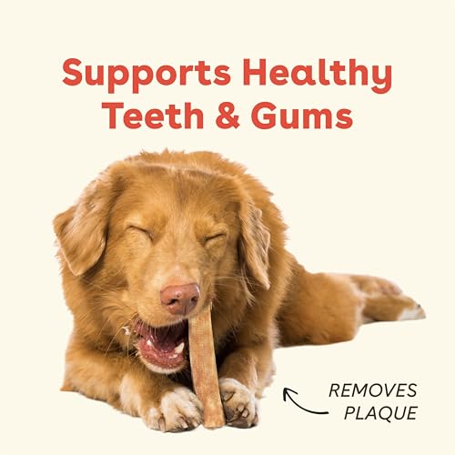 Pupford Yak Cheese Chews for Dogs & Teething Puppies, Natural, Long-Lasting Himalayan Dental Treats (3 Pack Small) - size: 1 Ounce (Pack of 3), style: For Small Dogs