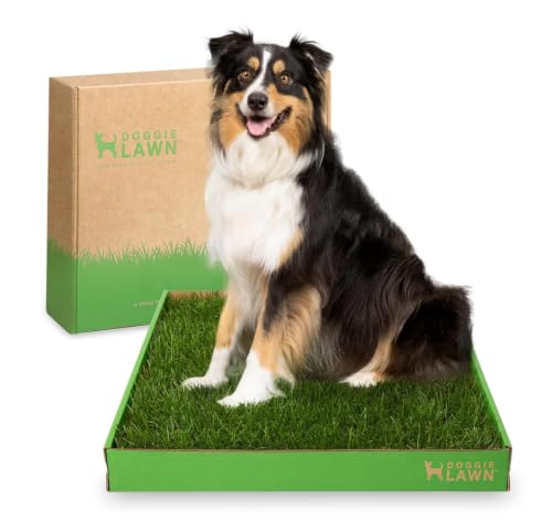 DoggieLawn Real Grass Puppy Pee Pads- 24 x 24 Inches - Perfect Indoor Litter Box for Dogs - No Mess, Easy-to-Use - Potty Training for Pets - Disposable Bathroom with Real Living Grass - size: Large 24x24 inches