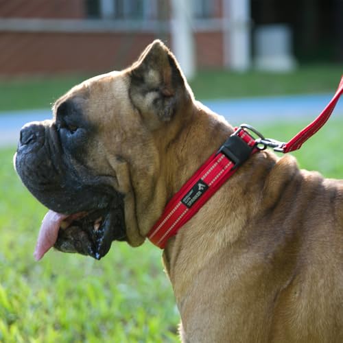 EXCELLENT ELITE SPANKER Reflective Dog Collar Classic Soft Padded Breathable Nylon Adjustable Pet Collar with Quick Release Buckle for Boy Girl Male Female Small Medium Large Dogs Training(Purple-S) - color: Purple, size: M