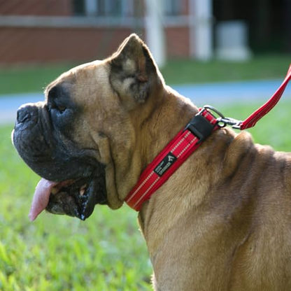 EXCELLENT ELITE SPANKER Reflective Dog Collar Classic Soft Padded Breathable Nylon Adjustable Pet Collar with Quick Release Buckle for Boy Girl Male Female Small Medium Large Dogs Training(Red-M) - color: Red, size: M