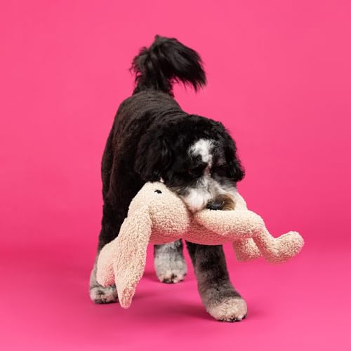 Fringe Studio Large Plush Dog Toy, Hoppy to See You, 19" Tall x 13" Wide, Pet Shop Collection (728034) - color: Hoppy To See You