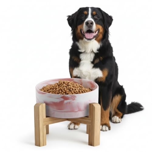 Elevated/Raised Ceramic Dog Bowl with Bamboo Stand,Marble Pattern 7 Inch 7.6 Cups Non Slip Heavy Weighted Single Pet Dish,Anti Tipping,Reduces Neck Strain Marble Pink - color: Marble Pink, size: 7.6Cups - Large