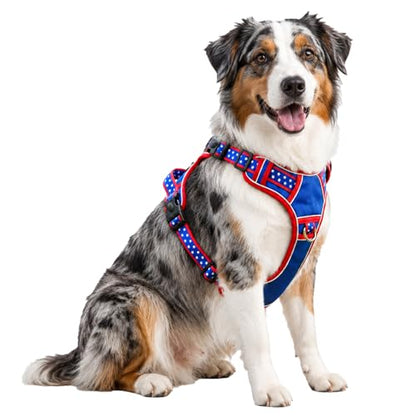 Large Dog Harness No Pull, Heavy Duty Tactical Harness for Pet Labrador, Pitbull, 3 Buckles Easy On Doggie Vest with Sturdy Handle, Front Clip Training Harness for Boy Girl Puppy Walking (L) - size: Large