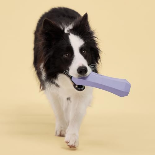 Playology Dog Toys | Squeaky Chew Stick for Large Dogs | Lamb Scented Jumbo Fetch Toy | Squeaky Dog Chew Toy - size: Jumbo, style: Lamb