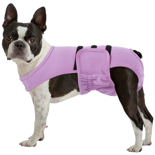 Lelepet Reusable Dog Diapers Female, Dog Period Panties, Washable Belly Band Dog with Suspenders, Girl Dog Diapers for Heat, Soft Adjustable Small Doggy Onsie with Hole Tail, Purple, XS - color: Purple, size: XS