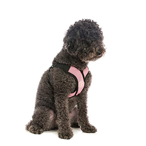 Gooby - Comfort X Step-in Harness, Choke Free Small Dog Harness with Micro Suede Trimming and Patented X Frame, Pink, Large - color: Pink, size: Large