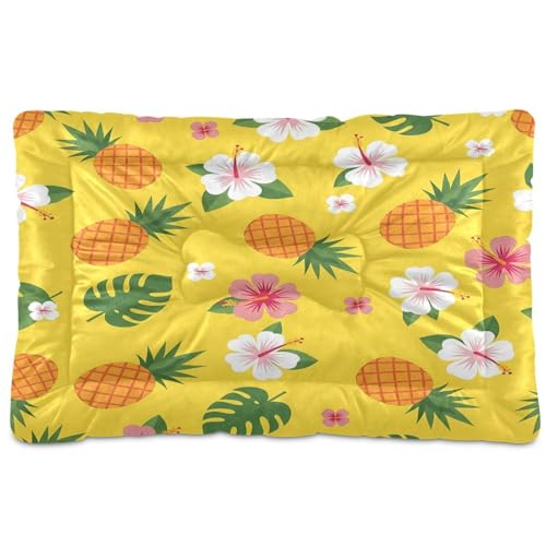 Pineapple Pattern Pet Bed Mat for Dogs and Cats, Soft Washable Crate Pad with Non-Slip Bottom, Cozy Bed Cushion for Small Medium Large Pets, 24x36 Inch - size: Medium