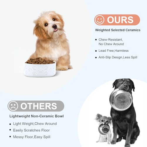 SPUNKYJUNKY Ceramic Dog and Cat Bowls 2 Pack, 5.1'' Dog and Cat Food Water Double Feeding Bowls Non-Slip for Cats and Puppy Small Sized Breed Dogs Microwave Dishwasher Safe - 13.5 OZ, 2pcs, Paw White - color: Paw White - Only Bowls*2, size: 5.1 in - 1.7 c