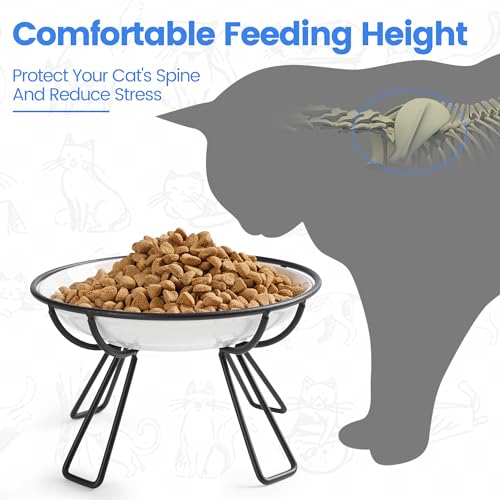 Ceramic Elevated Cat Bowls - Whisker Friendly, Anti-Vomiting, Stylish & Hygienic Cat Bowl Set (Line Cat, 2 Pack) - color: line cat, size: raised dish,2 pack