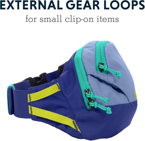 Ruffwear, Home Trail Hip Pack, Dog Walking Fanny Pack Crossbody with Adjustable Belt, Treat Pouch, Poop Bag Holder, Phone Pocket, Hands-Free for Training, Hiking, Running, Travel, Granite Gray - color: Granite Gray