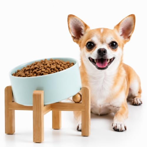 Petygooing Raised/Elevated 15°Slanted Ceramic Dog Bowl for Small Breeds,Tilted Anti Slip Pet Bowl,Food Water Dish with Stand for Cats and Small Dogs Puppy 13.5 OZ (5.1In / 1.7 Cups) Blue Sky - color: Blue Sky, size: 1.7 CUPS - Puppy/Small Dogs & Cat Bowls