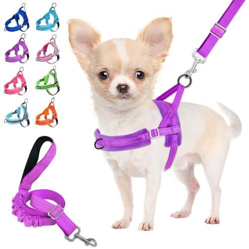 Lukovee No Pull Dog Harness and Leash Set, Soft Padded Small Dog Harness, Neck & Chest Adjustable Reflective Vest Puppy Harness with 4ft Lightweight Anti-Twist Dog Leash for Small Dogs (S, Purple) - color: A-Purple, size: S ( Chest 17.5'' ~ 22'')