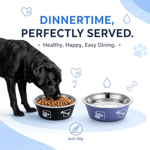 2-Pack Dog Bowls, Stainless Steel Pet Bowls, Thickened Rust-Proof Inner Bowl, Non-Slip Rubber Base, 2-in-1 Food & Water Bowl for Indoor Use (Black + Purple) (Black + Purple, S) - size: S