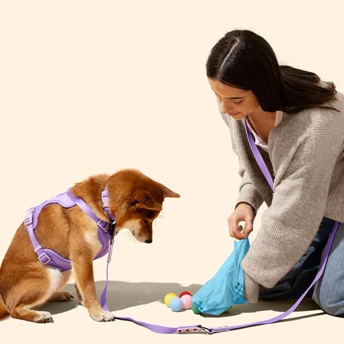 13 in. x 9 in. Extra Thick Leak Proof Unscented Dog Poop Bags, Blue (540 Count, 36-Rolls) - size: 540 Count (Pack of 1)