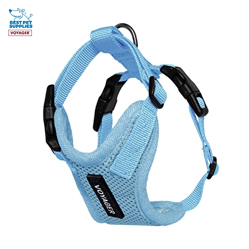 Best Pet Supplies Voyager Step-in Lock Pet Harness w Reflective Pet Leash Combo Set with Neoprene Handle 5ft - Supports Small, Medium and Large Breed Puppies/Cats - Baby Blue Set, XXXS - color: Harness Leash Set (Baby Blue), size: XXXS (Chest: 10.5 - 13")