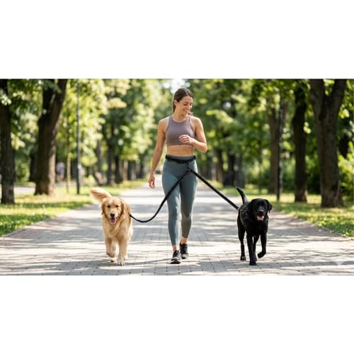 X11PAWS - Heavy Duty Dog Leash Hands Free Bungee | Two Large Dogs Up to 250 lbs | Comfortable Shock Absorbing Bungee | Reflective Dual Padded Handles | Lumbar Waist Belt 24-42" | 360° Swivel Clips