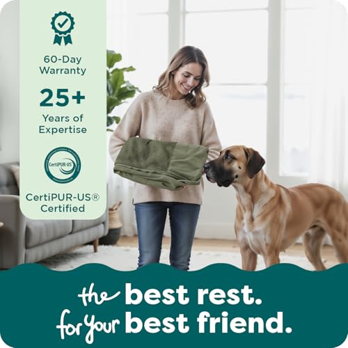 Furhaven Replacement Dog Bed Cover Faux Fur & Velvet Sofa-Style, Machine Washable - Dark Sage, Medium - color: (Faux Fur & Velvet) Dark Sage, size: Medium