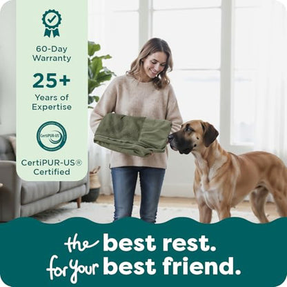 Furhaven Replacement Dog Bed Cover Faux Fur & Velvet Sofa-Style, Machine Washable - Dark Sage, Medium - color: (Faux Fur & Velvet) Dark Sage, size: Medium